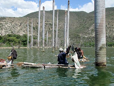 Fischer-Lago-Enriquillo
